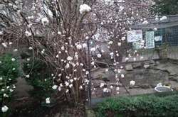 У середу, 18 грудня, у Львові температура повітря вдень піднялася до позначки +14 градусів