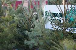 У Києві працюють 97 ялинкових ярмарків (адреси)