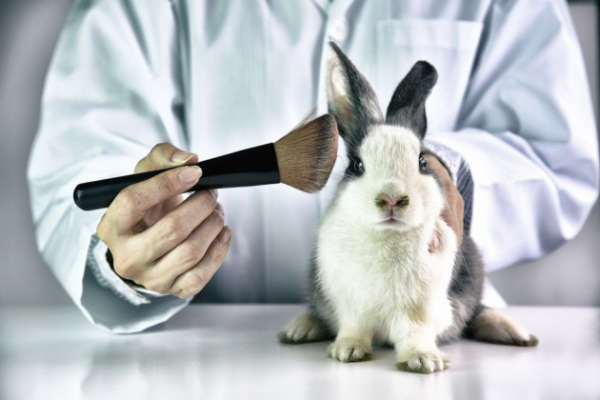 Вчені розробили технологію, що допоможе уникнути тестування ліків на тваринах