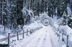 Рятувальники попереджають про можливе порушення руху транспорту через сніг у Карпатах