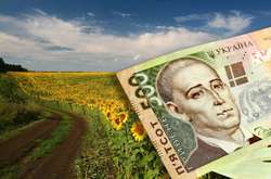 Из-за укрепления гривны агробизнес потерял 6-7 млрд грн