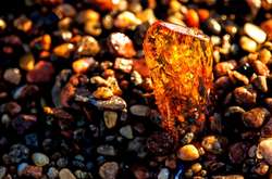  Законом забороняється вивезення з України бурштину-сирцю 