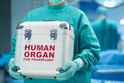 Українці отримали закон про трансплантацію