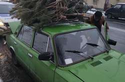 Чоловік перевозив в автомобілі ялинки без чіпів і документів