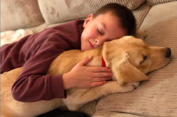 Восьмилетний украинец получил собаку за миллион лайков в Instagram