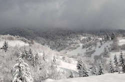 На Сочельник ударит мороз: прогноз погоды на 6 января