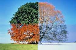 Синоптики розповіли, яка погода очікується протягом 2020 року