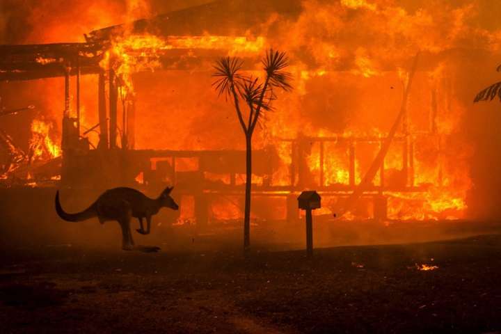 Порошенко закликав допомогти Австралії у боротьбі з лісовими пожежами