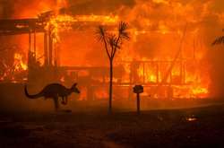 Порошенко закликав допомогти Австралії у боротьбі з лісовими пожежами