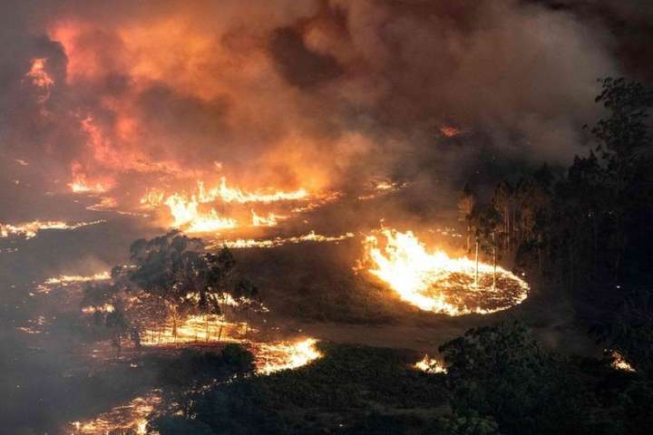 Жителів столиці Австралії закликають не виходити з дому через лісові пожежі