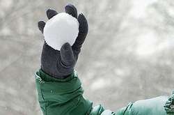 У США водій розстріляв дітей, які кидали сніжки в його авто (відео)