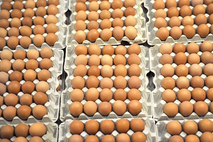 Украина согласовала с Японией ветсертификат для экспорта яиц