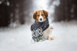 Ожеледиця і мокрий сніг: прогноз погоди в Україні на 9 січня