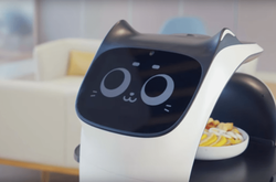 Китайская компания разработала роботизированного кота-официанта (фото)