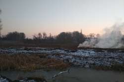 Під Києвом горять торф’яники (фото)