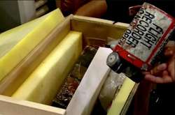 Розшифровку чорних ящиків збитого в Ірані лайнера МАУ проведуть в Україні