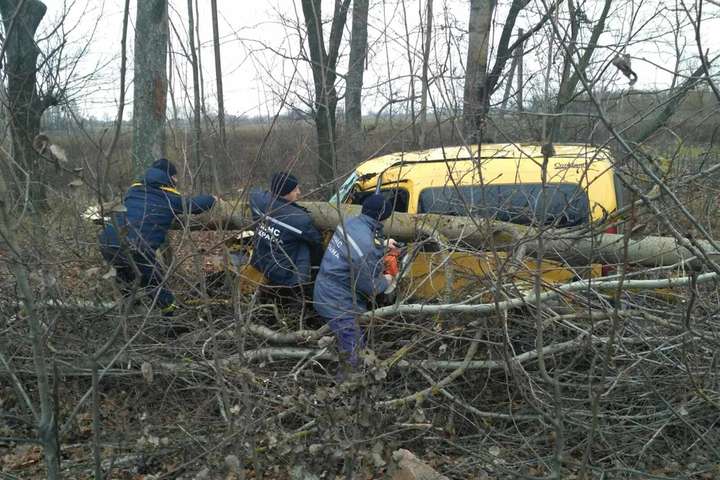 На Житомирщині перекинувся мікроавтобус з пасажирами, загинула жінка