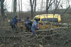 На Житомирщині перекинувся мікроавтобус з пасажирами, загинула жінка