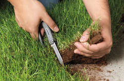 Зеленський підписав закон про боротьбу з аграрним рейдерством