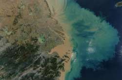 У 2019 році температура океану досягла рекордних значень