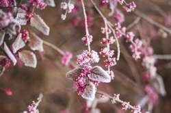 Дощ з мокрим снігом: прогноз погоди в Україні на 14 січня