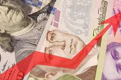 Офіційний курс гривні до долара за 2019 рік зріс на 16,9%, - голова Ради НБУ