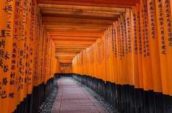 Фантастичні світлини, для створення яких фотографи не використовувалися графічні редактори 