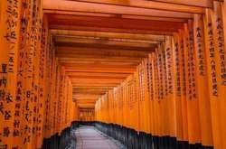 Фантастические фотографии, для создания которых не использовались графические редакторы