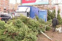 Столична влада хоче заборонити ялинкові базари