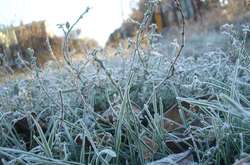 В Україні вдарять морози з вітрами і туманами: прогноз погоди на 15 січня