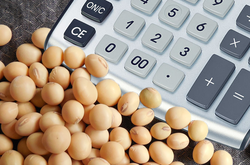 Минэкономики анонсировало рост экспорта сои