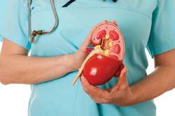 Шесть простых правил для сохранения здоровья почек