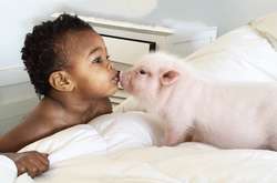 Девочка подружилась с маленьким поросенком: трогательные фото