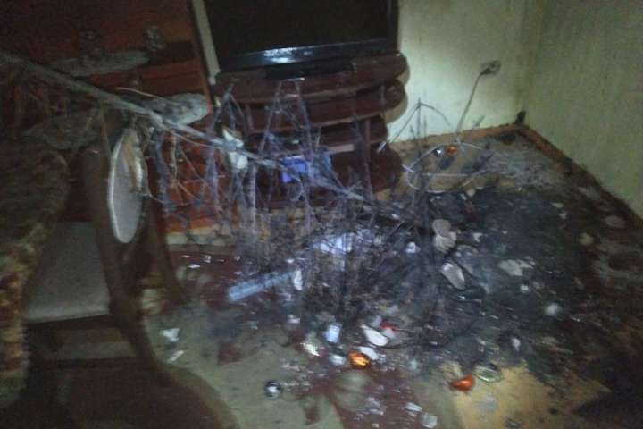 Новогодняя елка «устроила» пожар в квартире на Львовщине