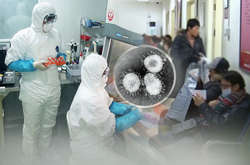 Новый вид пневмонии распространился на Южную Корею