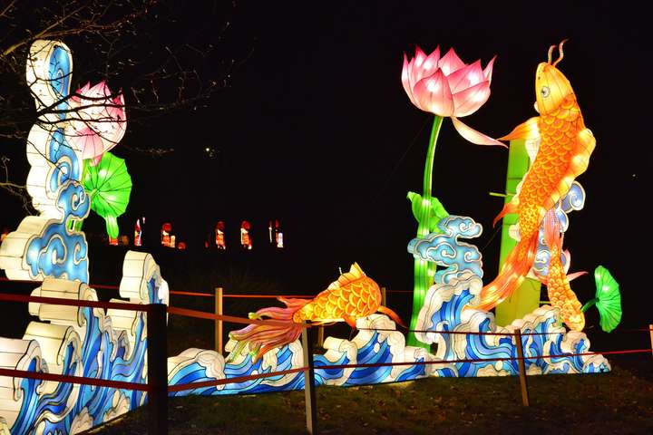 На фестивалі гігантських китайських ліхтарів відбудеться соціальний день