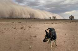 Австралию накрыли пылевые бури (фото)
