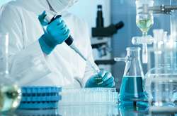 Дослідникам вдалося виявити особливий вид Т-клітин і можуть протидіяти різним видам загроз