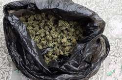 Під час обшуків правоохоронці вилучили у помешканнях зловмисників 65 кг канабісу