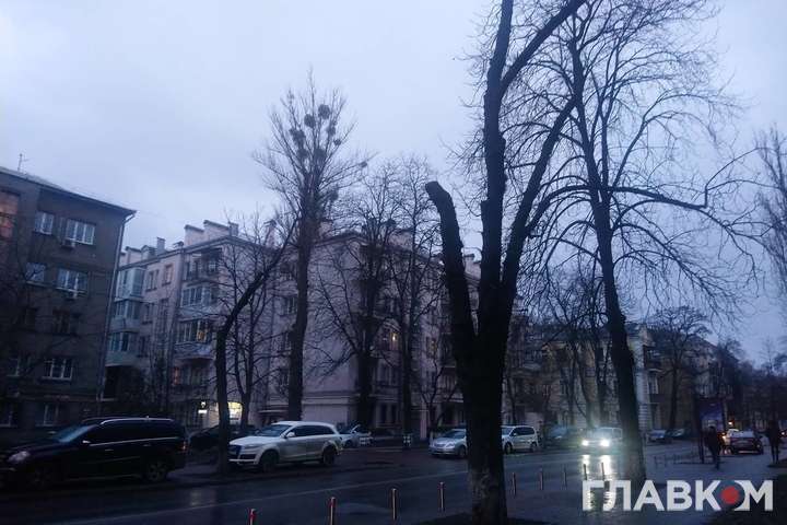 В Киев до сих пор не пришла метеорологическая зима
