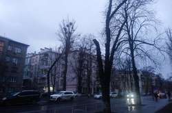 В Киев до сих пор не пришла метеорологическая зима