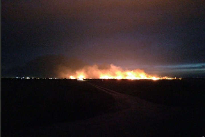 Під Одесою спалахнула масштабна пожежа: горить національний природній парк
