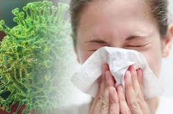 Симптомы коронавируса: шесть нарушений, на которые нужно обращать внимание