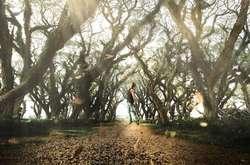 Невероятной красоты снимки природы, сделанные талантливым фотографом из США