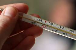 Зображення: Rafael Abdrakhmanov/ iStock