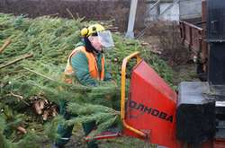 Жители Киева сдали на переработку уже 11 тыс. новогодних елок