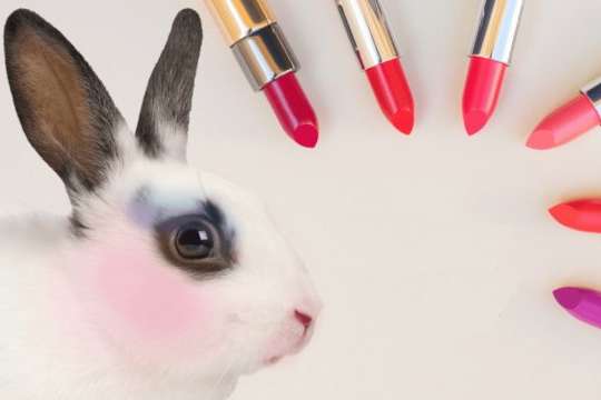 МОЗ хоче заборонити тестування косметики на тваринах 