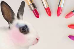 МОЗ хоче заборонити тестування косметики на тваринах 