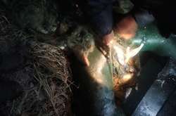 На Дністрі браконьєр обстріляв рибний патруль