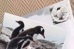 У Києві відбудеться урочисте погашення марки до 200-річчя відкриття Антарктиди (фото)